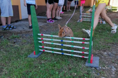 IMG_20220718_105523_1