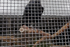 IMG_20260130_111612